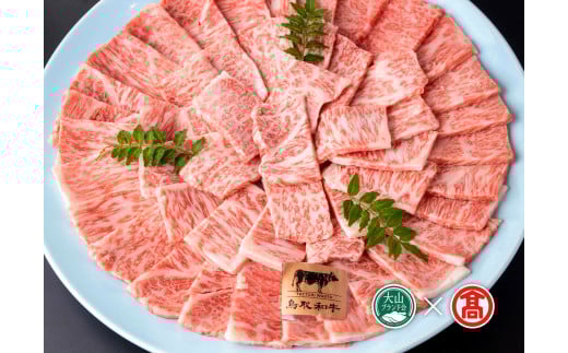 CE7<皆生菊乃家>鳥取和牛 A4ランク以上 サーロイン焼肉用(大山ブランド会)