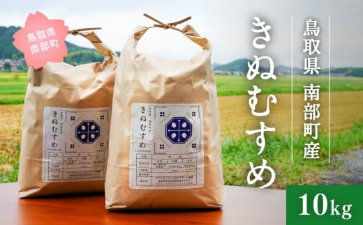 <新米・令和7年産>鳥取県南部町産 きぬむすめ 10kg 米 お米 こめ おこめ コメ 白米 精米 なんぶ里山デザイン機構