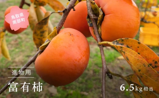 【YA12】富有柿(進物用6.5kg箱)2025年11月出荷予定<数量限定>