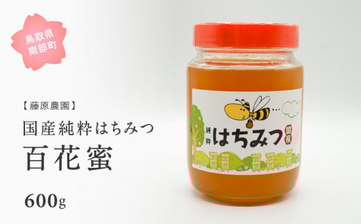 【FJ01】里地・里山のめぐみ 純粋ハチミツ(百花蜜) 600g