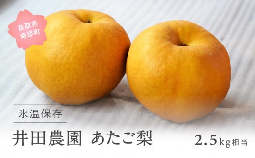 鳥取県南部町産 井田農園のあたご[梨](2.5kg箱)[令和8年1月出荷]