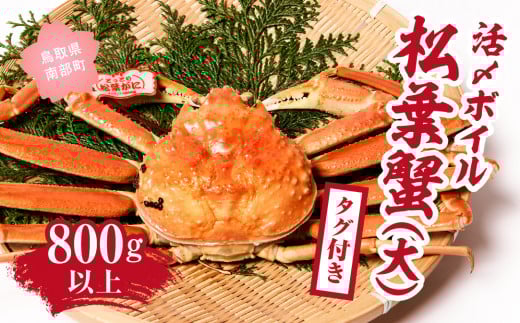 【北海道・沖縄・離島配送不可】【タグ付き】活〆ボイル松葉蟹(大) 800g以上 松葉ガニ 松葉がに カニ かに 境港 マルツ (MR08)