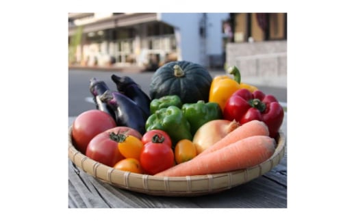 季節の野菜セット(5～10種)【1210553】