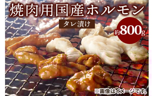 焼肉用国産ホルモン (小腸・シマ腸・赤セン・肺・心) タレ漬け 約800g｜ホルモンミックス [2210]