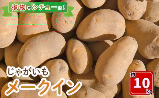 [7月中旬〜9月中旬発送予定]じゃがいも メークイン(約10kg)[sm-DI001][大原茂美]