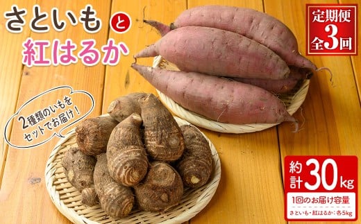 <定期便・全3回><先行予約受付中!2025年10月上旬~2026年2月下旬発送予定>さといもと紅はるかのセット(約10kg×3回・計約30kg) 【sm-DI005】【大原茂美】