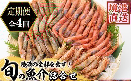<定期便>『境港の全部を食す』旬のお魚宅配便(全4回)【sm-AA017】【いたくら】