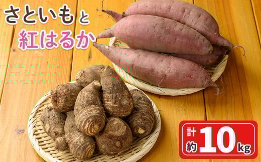 ＜先行予約受付中！10月上旬～2月下旬発送予定＞さといもと紅はるかのセット(約10kg)【sm-DI003】【大原茂美】