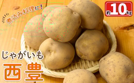 <先行予約受付中!12月中旬~2月中旬発送予定>じゃがいも 西豊(約10kg)【sm-DI002】【大原茂美】