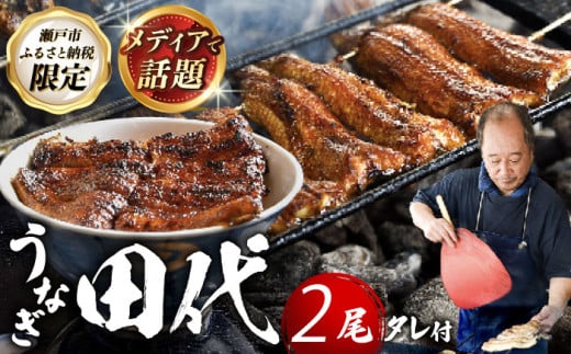 【2025年11月発送】炭火焼き 国産うなぎ 蒲焼 2尾 / ウナギ 鰻 蒲焼 炭火 かば焼き / 瀬戸市 / うなぎ田代 [BBCA002-11] [BBCA002-11]