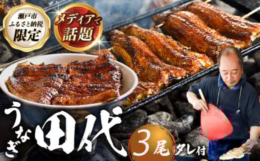 【2026年4月発送】炭火焼き 国産うなぎ 蒲焼 3尾 / ウナギ 鰻 蒲焼 炭火 かば焼き / 瀬戸市 / うなぎ田代 [BBCA003-4] [BBCA003-4]