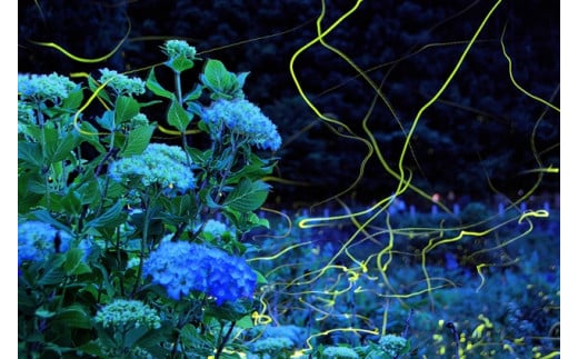 001 町内温泉宿泊など施設利用助成券3000円