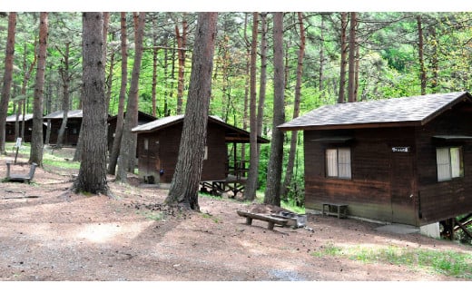 191 国の天然記念物であるシダレグリ自生地のもとでキャンプ＆BBQ！（最大5名）