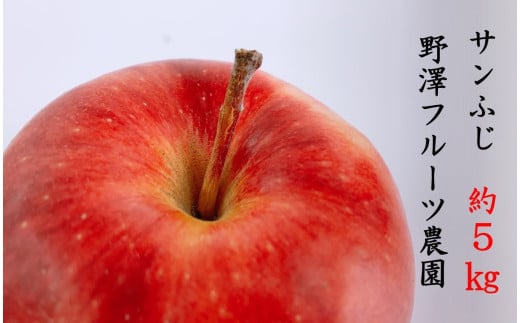 276 先行予約 りんご サンふじ５㎏【野澤フルーツ農園】
