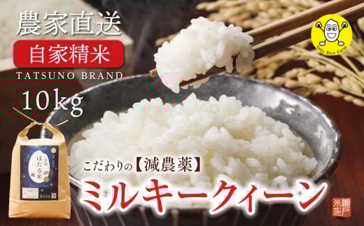 444 辰野産 ミルキークイーン 「天竜ほたる米」10キロ を農家から直送♪ 数量限定!