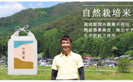 462 自然栽培コシヒカリ【夢あかり】(胚芽米)未来へ笑顔をつなげる『小里米』