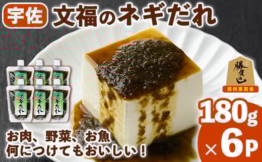 宇佐名物 文福のネギだれ (計1.08kg・180g×6P) ネギ ねぎ 葱 たれ タレ 勝負めし【102200400】【観光館　文福】