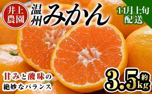 ＜先行予約受付中！11月上旬より順次発送予定＞数量限定 大分県宇佐市産 温州みかん(約3.5kg)みかん ミカン 蜜柑 柑橘 フルーツ 果物 くだもの 果実 国産【103670100】【井上農園】