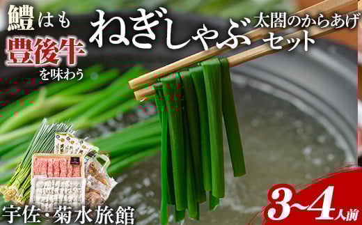ねぎしゃぶ+太閤からあげ(7品)ねぎしゃぶ しゃぶしゃぶ おおいた和牛 鱧 はも 鍋 お鍋 唐揚げ からあげ セット【101500501】【菊水旅館】