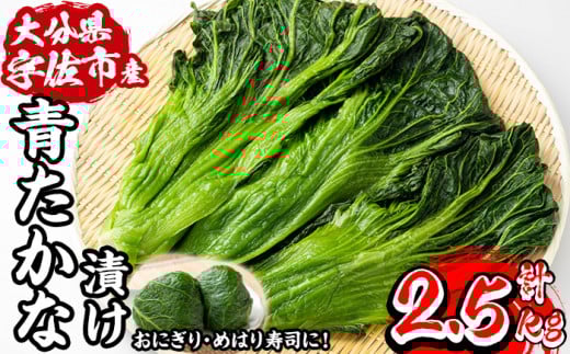 自家農園栽培 青たかな漬け(2.5kg)たかな 高菜 ちりめん高菜 漬物 漬け物 ご飯のお供 おにぎり 自家農園 大分県産【103200100】【松本漬物】