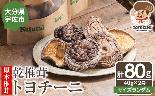乾椎茸 トヨチーニ・サイズランダム(計80g・40g×2袋)しいたけ 干し椎茸 原木椎茸【110300401】【松重　拓志】