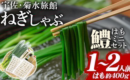 ねぎしゃぶ(鱧はも)ミニセット(5品)ねぎしゃぶ しゃぶしゃぶ 鱧 はも 鍋 お鍋 セット【101500101】【菊水旅館】