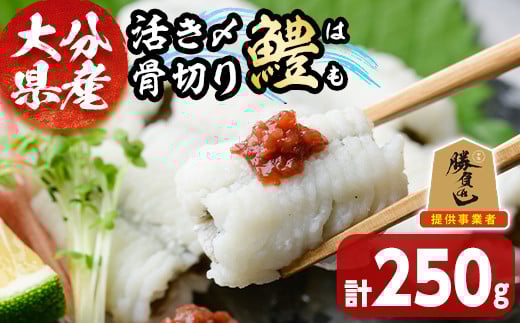 大分県産活き〆骨切りハモ(計250g) 真空パック 冷凍 魚介 鱧 はも 活き〆 骨切り 急速冷凍 勝負めし 【101900200】【上野水産】