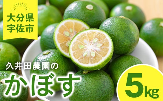 かぼす(5kg)柑橘 かんきつ 大分県産直【112600100】【ａｎｄＫ】