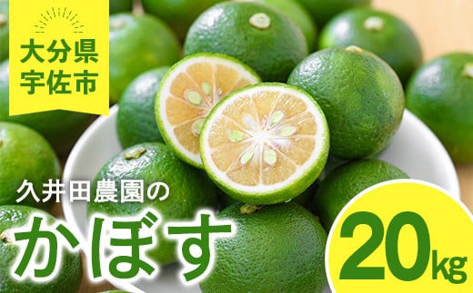 かぼす(20kg)柑橘 かんきつ 大分県産直 期間限定【112600400】【ａｎｄＫ】