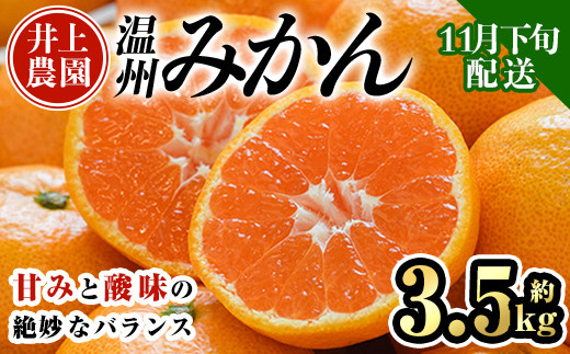 ＜先行予約受付中！11月下旬より順次発送予定＞数量限定 大分県宇佐市産 温州みかん(約3.5kg)みかん ミカン 蜜柑 柑橘 フルーツ 果物 くだもの 果実 国産【103670300】【井上農園】