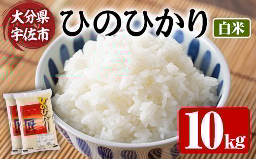＜先行予約受付中！2025年10月上旬より順次発送予定＞＜令和7年産・新米＞ひのひかり 白米 (計10kg・5kg×2P) お米 ごはん ご飯【107101101】【あいはな農園】