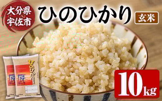 ＜先行予約受付中！2025年10月上旬より順次発送予定＞＜令和7年産・新米＞ひのひかり 玄米 (計10kg・5kg×2P) お米 ごはん ご飯【107101401】【あいはな農園】