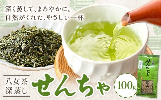 八女茶 深蒸し 茶煎茶 100g 株式会社JSE《30日以内に出荷予定(土日祝除く)》福岡県 鞍手郡 鞍手町 お茶 煎茶 深蒸し茶 お茶 茶葉 お茶の葉 お茶葉 煎茶 国産 日本茶 飲物 飲み物 飲みもの のみもの