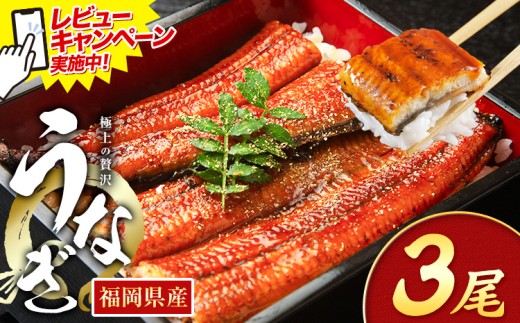 レビューキャンペーン実施中! うなぎ 鰻 ご家庭用  3尾 (サイズ不選別:1尾当たり140g-180g) 福岡県産 鰻の蒲焼き 数量限定 株式会社HOMIE《1月上旬-1月末頃出荷》福岡県 鞍手郡 鞍手町 鰻 蒲焼き 数量限定 国産 蒲焼 うなぎ蒲焼