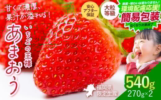 ★2026年出荷分★【先行予約】簡易包装版 環境配慮応援企画 いちご あまおう 540g 【着日指定不可】《2月中旬-4月末頃出荷》 いちご