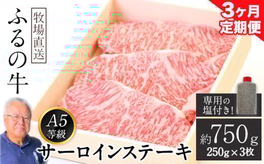 【3ヶ月定期便】ふるの牛（黒毛和牛）特選サーロインステーキ 750g(250g×3枚) ゲランド塩付き A5 有限会社ふるの《お申込み月の翌月から出荷開始》 3回お届け 計3回 定期便 2kg以上
