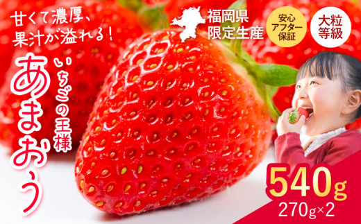 ★2026年出荷分★【先行予約】いちご あまおう 大容量産あまおう 540g 【着日指定不可】《2月中旬-4月末頃出荷》 いちご