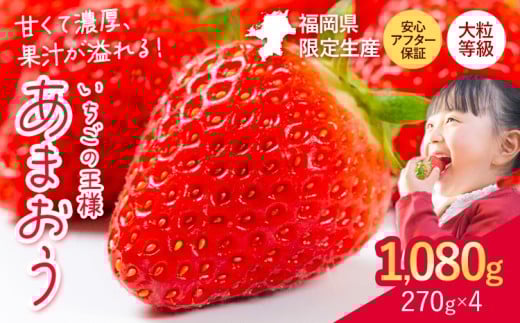 ★2026年出荷分★【先行予約】いちご あまおう 大容量産あまおう 1080g 【着日指定不可】《2月中旬-4月末頃出荷》 イチゴ 苺