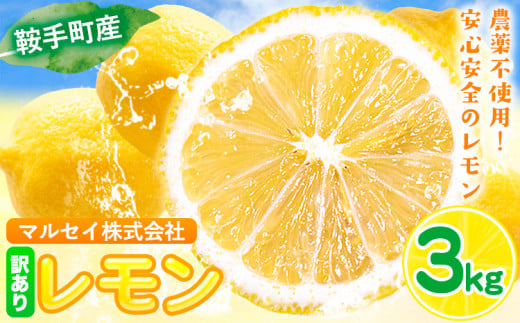 レモン 訳あり 3kg マルセイ株式会社《11月上旬-1月末頃出荷》レモン フルーツ スイーツ くだもの 果物 レモン果汁 ふるさと納税 福岡県 鞍手町