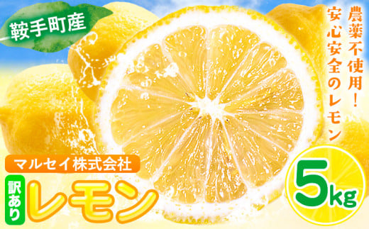 レモン 訳あり 5kg マルセイ株式会社《11月上旬-1月末頃出荷》レモン フルーツ スイーツ くだもの 果物 レモン果汁 ふるさと納税 福岡県 鞍手町
