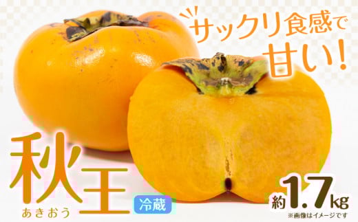☆2026年出荷☆ 秋王 約1.7kg《11月上旬-11月末頃出荷》福岡県 鞍手郡 鞍手町 柿 かき カキ 種なし 種無し 福岡県産 果物 くだもの フルーツ 【配送不可地域あり】