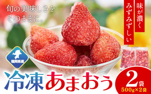 福岡県産 冷凍あまおう1kg(500g×2袋) 南国フルーツ株式会社[12月中旬-3月末頃出荷]福岡県 鞍手町 あまおう いちご イチゴ 送料無料[配送不可地域あり]