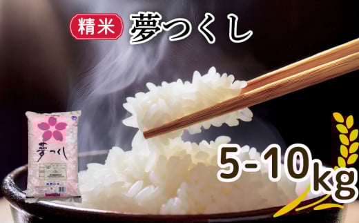 令和6年福岡県産夢つくし精米 5kg 米 お米 白米 ご飯 飯 防災 備蓄 防災 5kg コメ メシ 朝食 夕ご飯 お弁当 おにぎり 長期保存 福岡県産米 福岡 川崎町