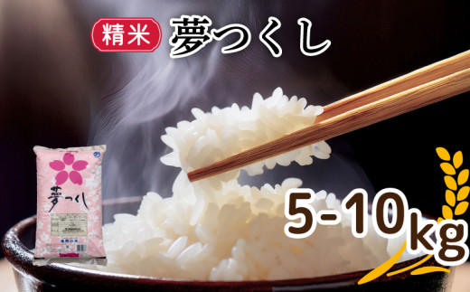 令和6年福岡県産夢つくし精米 10kg(5kg×2) 米 お米 白米 ご飯 飯 防災 備蓄 防災 10kg コメ メシ 朝食 夕ご飯 お弁当 おにぎり 長期保存 福岡県産米 福岡 川崎町