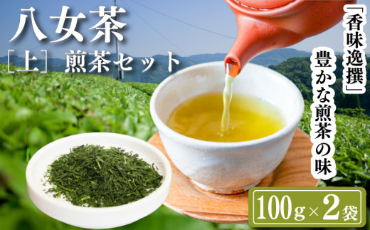 八女茶 【上】煎茶セット 100g×2袋