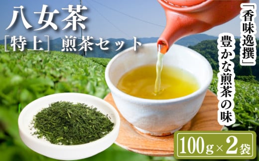 八女茶 【特上】煎茶セット 100g×2袋