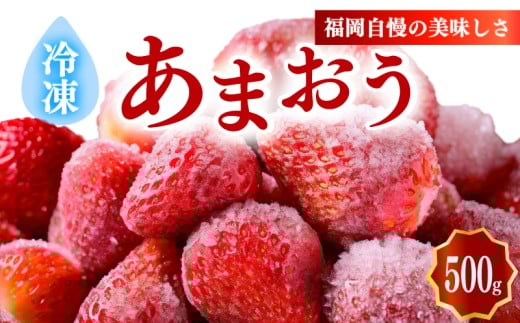 冷凍あまおう小分けパック500g(250g×2個)いちご あまおう 福岡県産苺 いちご あまおう イチゴ 苺 あまおう 苺 数量限定 苺 いちご あまおう 福岡県産 苺 いちご あまおう