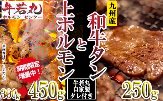 【期間限定容量アップ!】牛若丸自家製タレ付 九州産和牛タン250gと上ホルモン450gセット 2B10-A
