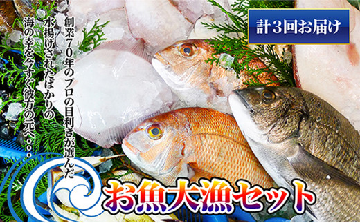 ［頒布会3回］瀬戸内海産の海産物の詰め合わせ（下処理ナシ）