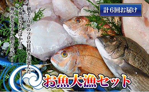 ［頒布会6回］瀬戸内海産の海産物の詰め合わせ（下処理ナシ）